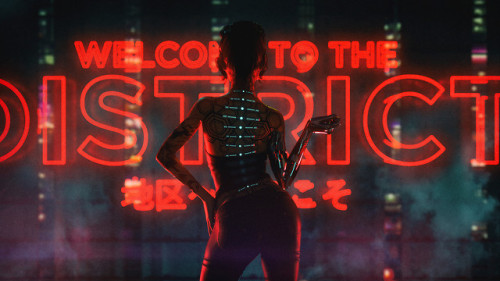 cyberpunker-hologram:Welcome to the DistrictDavid Legnon //...