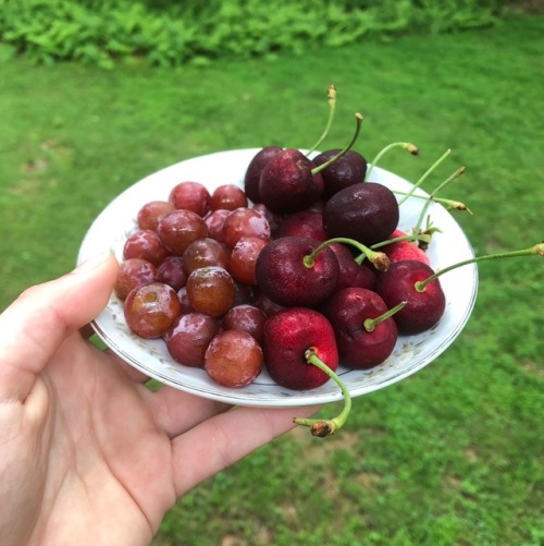 florulfauna:don’t forget to eat ur fruits !