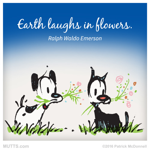 earth laughes with flowers
