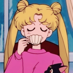 Aesthetic Character Sailor Moon Aesthetic Pfp - Anime ...
