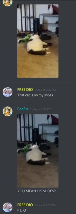 My cat loves peoples shoes so much when they come over, thought...