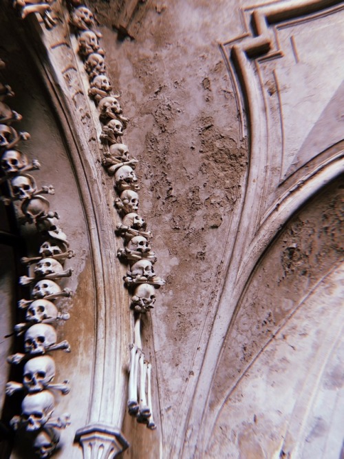 ghoulshavemorefun:Sedlec ossuary, Prague.