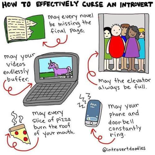 joelaussie-co:introvertunites:If you’re an introvert, follow...