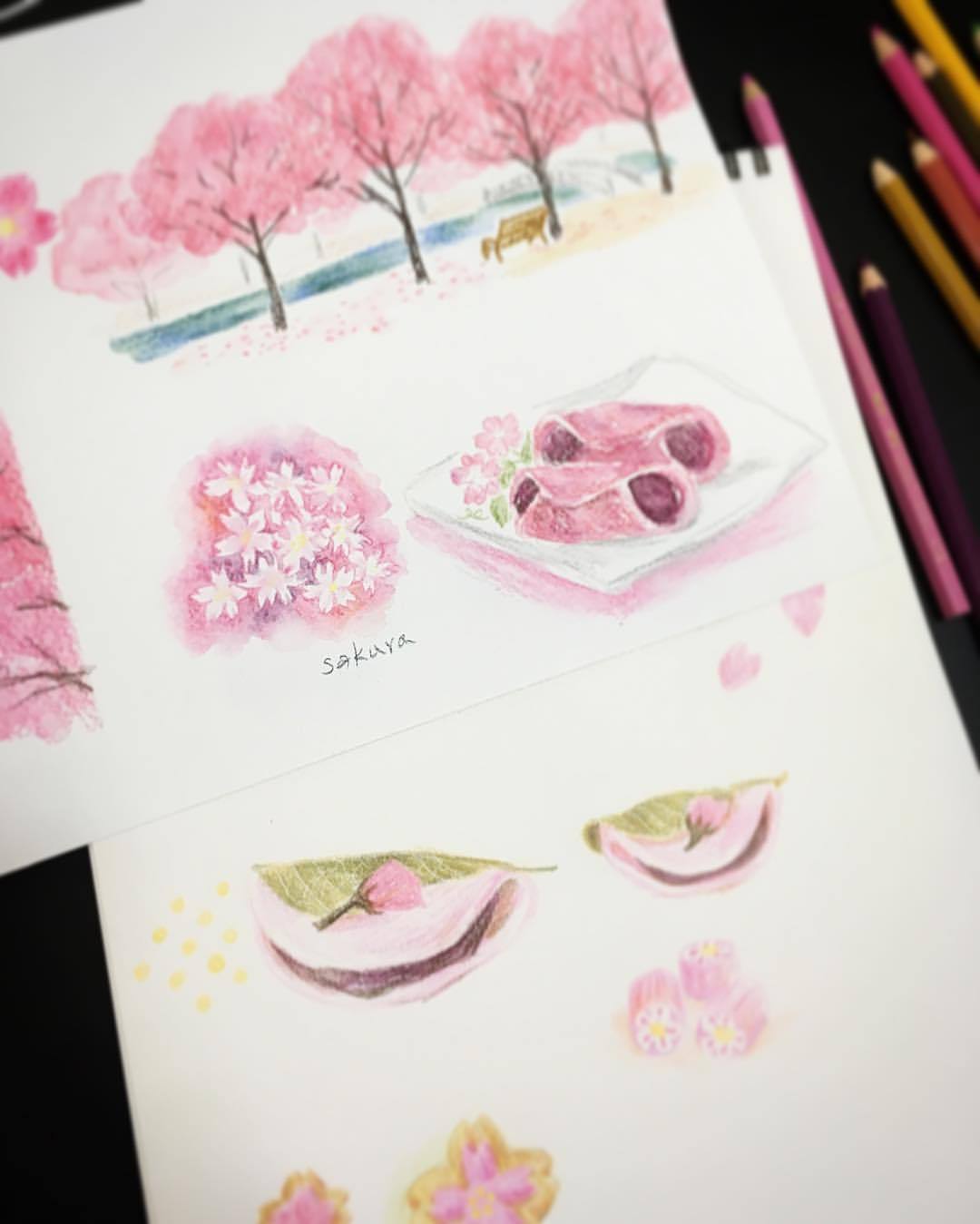 綺麗な簡単 桜 イラスト 色鉛筆 アニメ画像