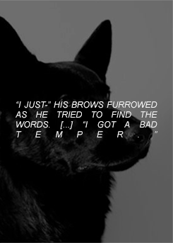 [Image: tumblr_piscxrNrF41wwkc82o5_250.png]