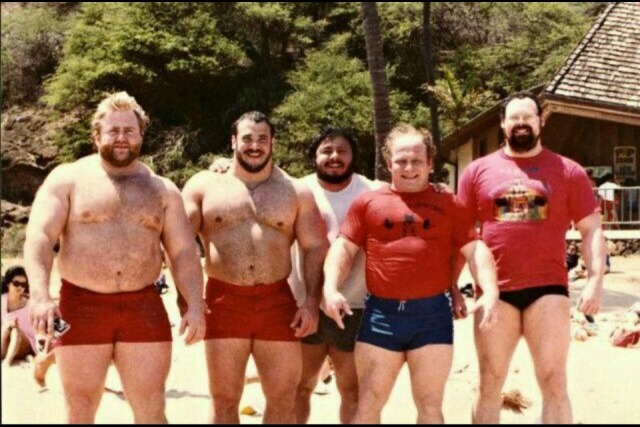 Free shemale no registration Big muscle gay website