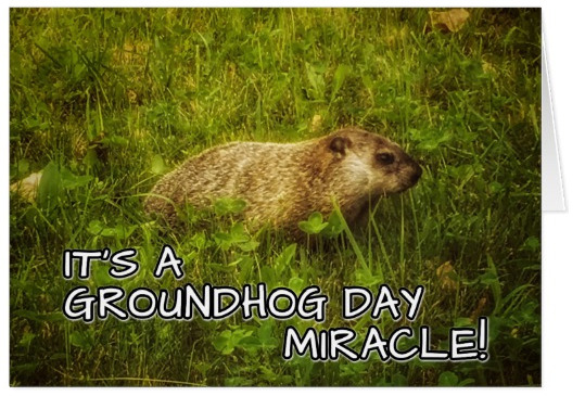 Groundhog Day Miracle greeting card