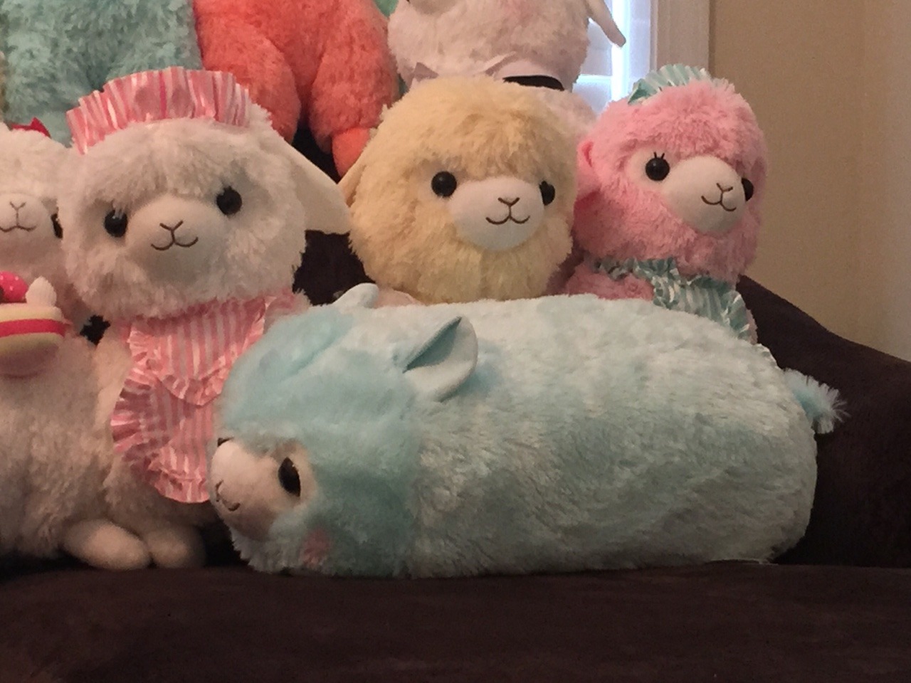 alpacasso large