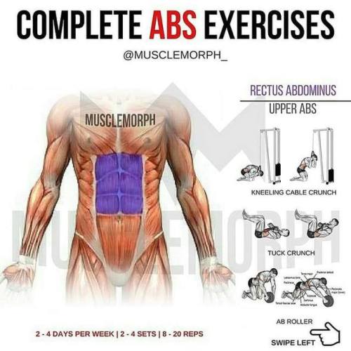 sashacoki:Complete ABS Exercises