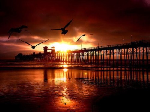 Oceanside Pier at Sunset