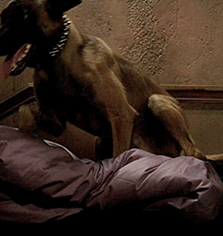 tumblr_o6xxhvwK5K1unsbsso2_250.gif