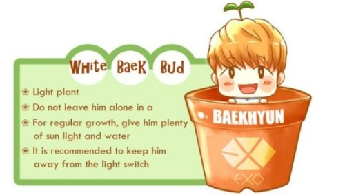 cookiezmonstyr:Collect All 12 of the Adorable EXO Plants!...