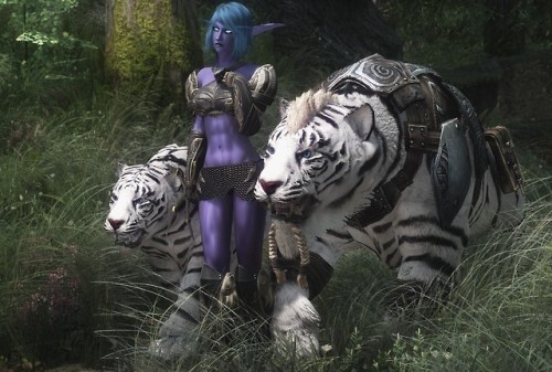 beaterbomb:Night Elf Ferrah, what should I say ,,,...