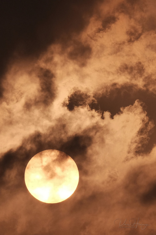 source of all life center star sun cloudscape photographers on tumblr photography original photographers original photography glowing clouds habitable zone life on earth evening sky september sky vertical lensblr luxlit pws explore clouds sunlight life warmth xphotographers fujifilm xt10 uwhe-arts original creators