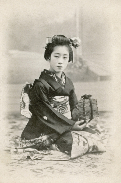 Osaka Maiko with Insect Cage 1905 (by Blue Ruin1)
“ A maiko (apprentice geisha) from Osaka holding a dual purpose insect cage or small bird cage.
”