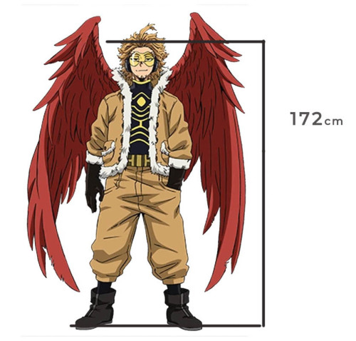 bnha hawks age