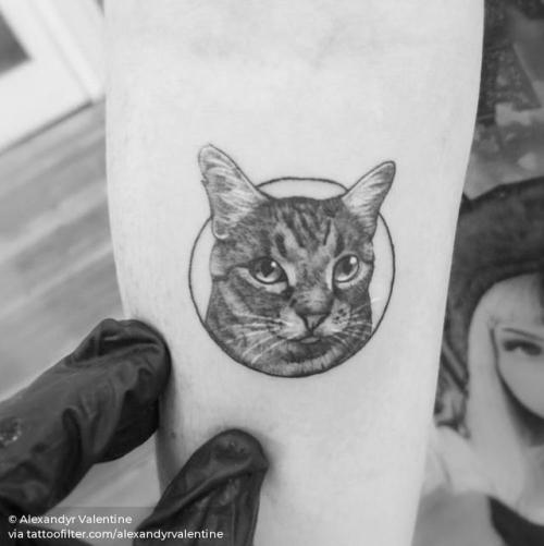 By Alexandyr Valentine, done at Seventh Circle Studio, Brisbane.... pet;feline;single needle;micro;animal;facebook;twitter;portrait;inner forearm;alexandyrvalentine;cat