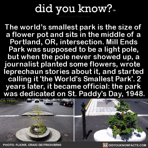 the-worlds-smallest-park-is-the-size-of-a-flower