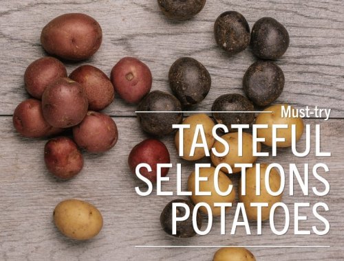 Good Taste - Four go-to potato recipes When it comes to comfort...