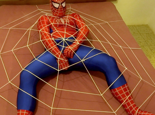 siegfrieddeduhbe:Spidey caught in his own web…