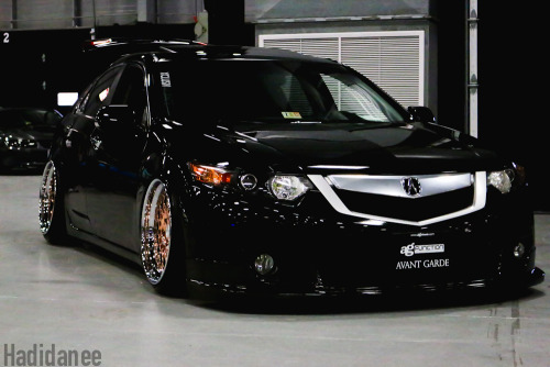 throttlestomper:Acura TSX[x]