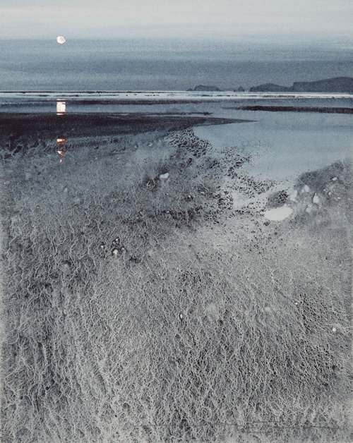 iamjapanese:Naomi Tydeman（British）Watercolour paintings  ...