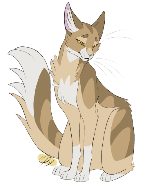 marymsjay-warriors-art:100 Warrior Cats Challenge12 -...