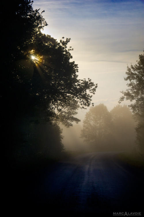 malavoie1:Misty Morning on Chemin CarrièreComing around a bend...