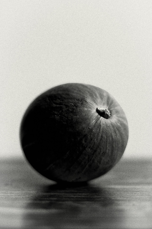 © Niilas Nordenswan Photography – Pumpkin