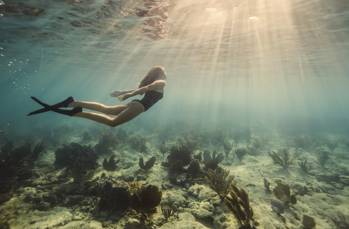 Underwater Photography On Tumblr