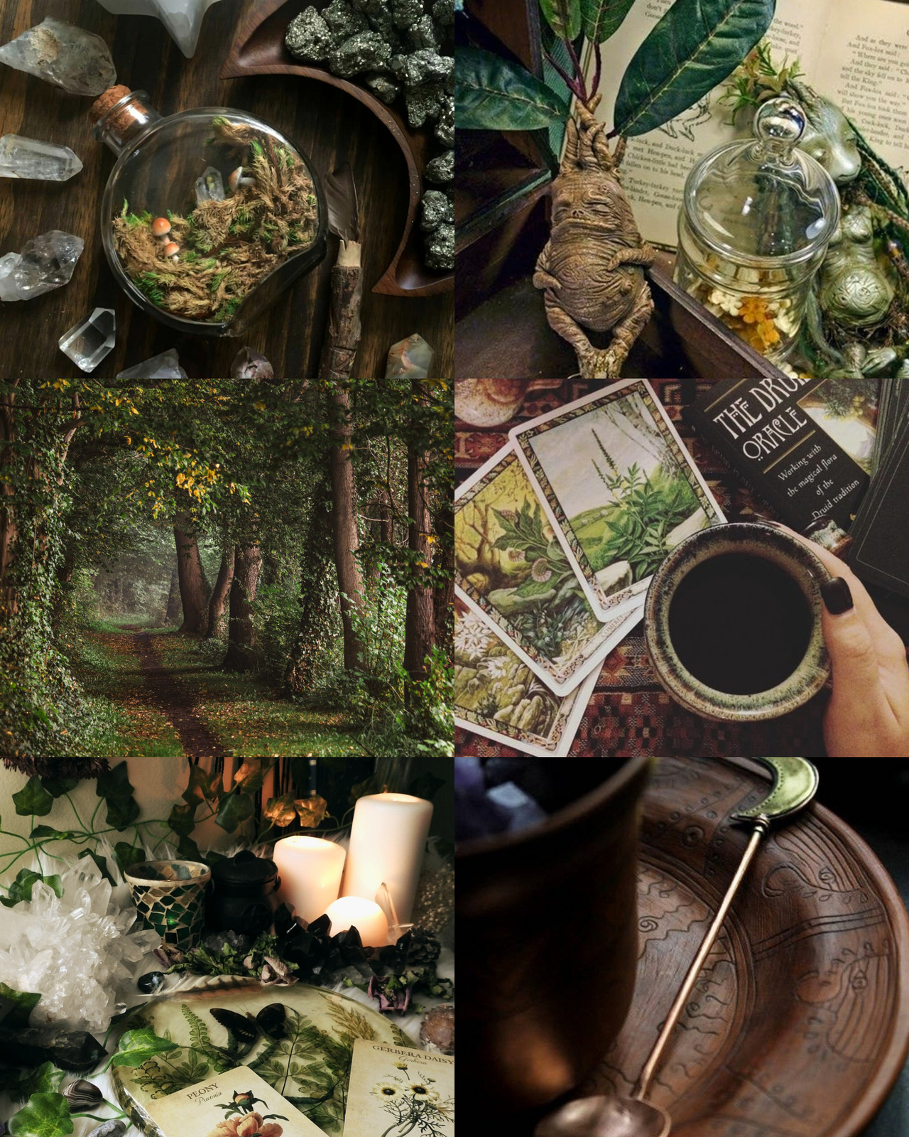 Forest witch aesthetic~ 🌲 - 💫🌱🌕🌱💫