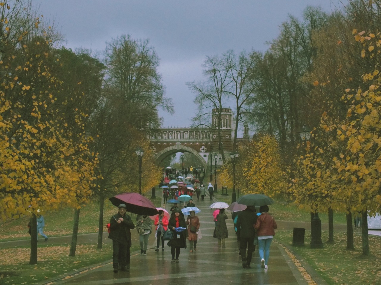 сделать фото осенних прогулок ангарск сеточку