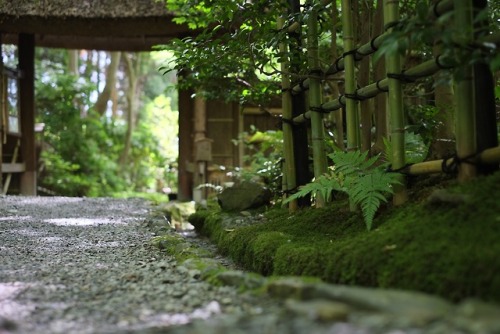 wanderlustjapan:祇王寺 by dulcet faber