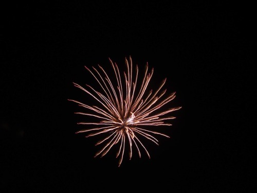 rossliam99:I also took these at the fireworks show.Absolutely...