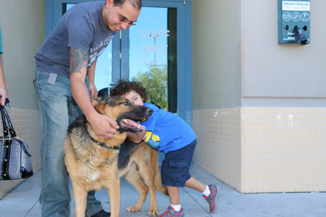 City of Las Vegas Animal Control Helps Reunite...