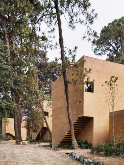 Entrepinos Housing / Taller Hector Barrosoph: Rory Gardiner