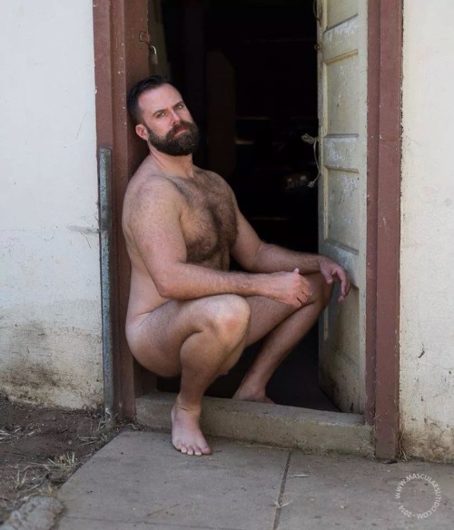 Gay Hairy Lover's