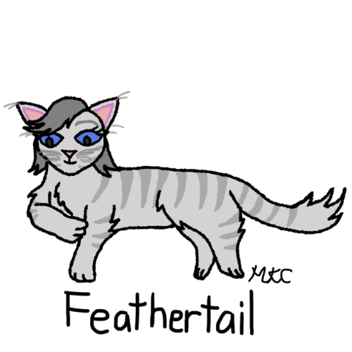 liepardstar