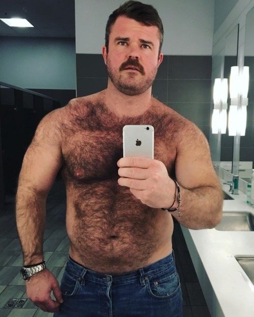 Bear With Hairy Chest