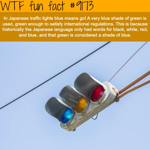 Fun Fact Of The Day-Wednesday October 3rd 2018 Tumblr_pg0afaoObd1roqv59o1_500