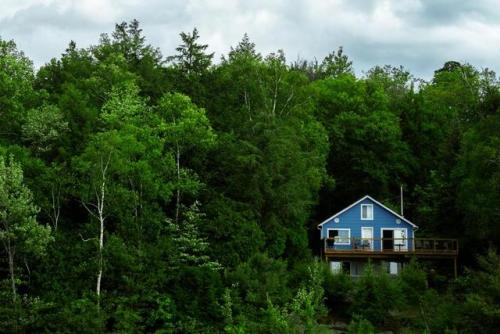 Cottage above the forest. Love this picture. Want a print of the...