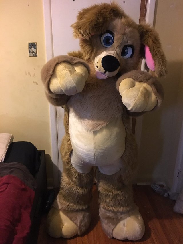 Suit-A-Dile — This cute plush puppy made it to his new home and...