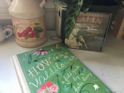 sunflowergrandpa:some thrifting finds + new book. :))The...