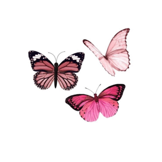 Aesthetic Butterfly Png Tumblr - Largest Wallpaper Portal