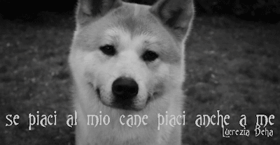Cani Tumblr