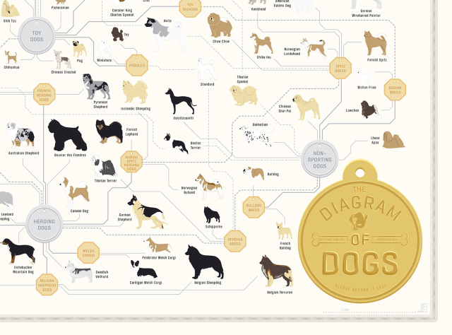 Pop Chart Lab, Happy National Puppy Day! I mean, every day is...