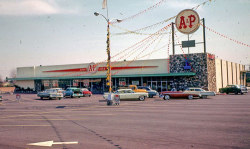 @60's cars on the street