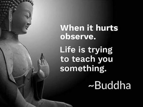 zengardenamaozn:Buddha quotes.