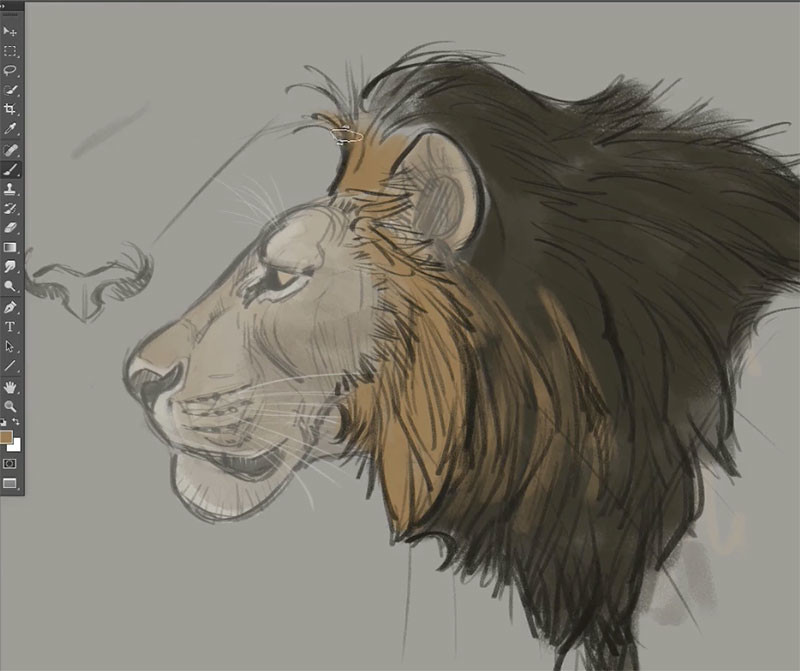 Art Tutorials And References — Anatoref: Drawing Big Cats