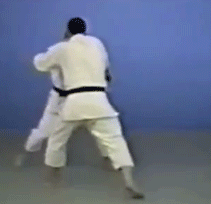 sabaki bjj submission grappling